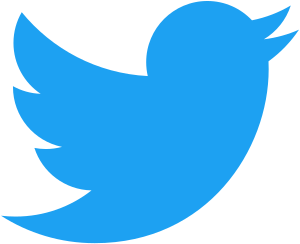 Twitter-logo-2012 - Social Nation twitter