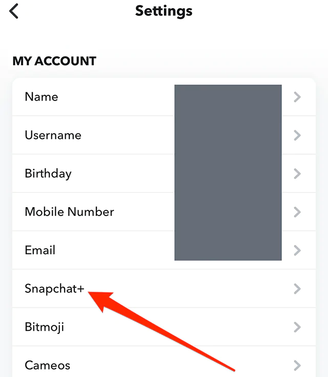 Snapchat-Settings-Snapchatpng - Social Nation Snapchat+ Capture