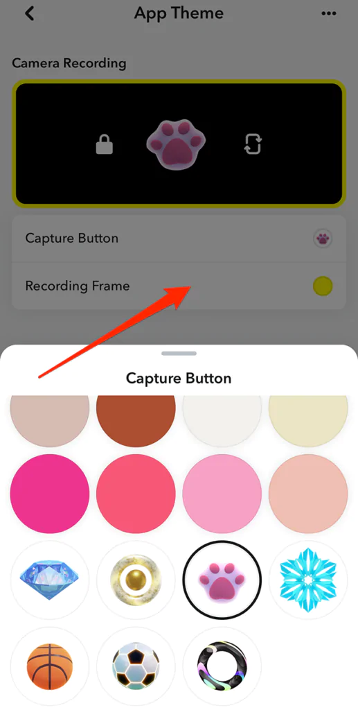 Snapchat-Snapchat-App-Theme-Capture-Button-Options-Tap-Outside-Window-517x1024png - Social Nation Snapchat+ Capture Button
