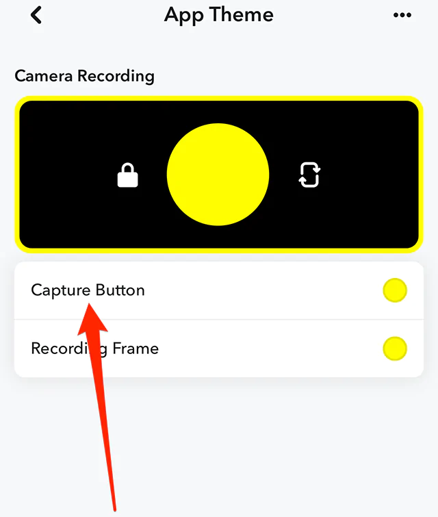 Snapchat-Snapchat-App-Theme-Capture-Buttonpng - Social Nation Snapchat+