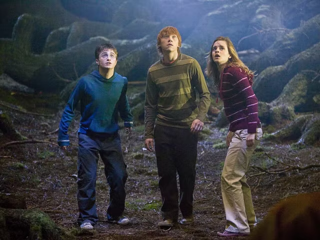 Harry Potter Movies