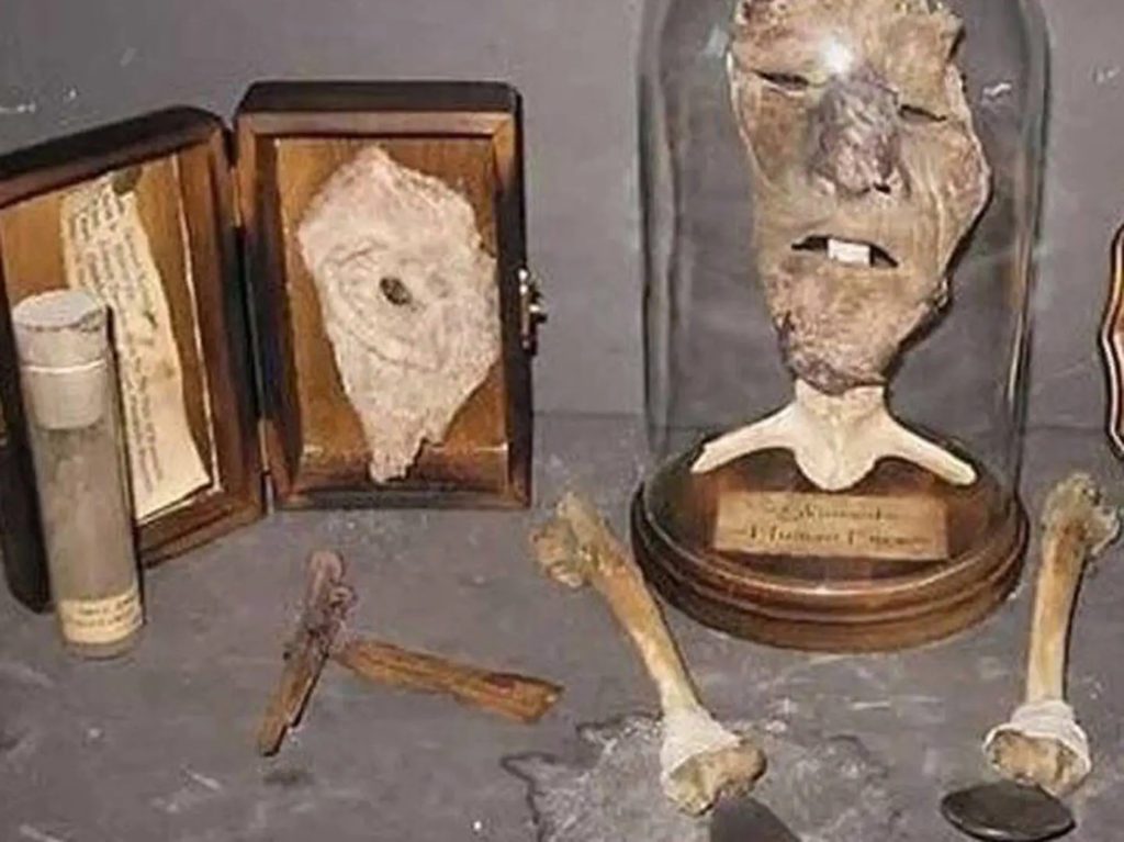 1-4 - Social Nation Ed Gein True Crime Movie Crime Industry Crime Movies