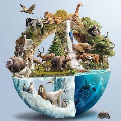 Los-animales-de-agua-dulce-se-estan-extinguiendo-mas-rapido-que-los-animales-terrestres_ - Social Nation Viral video of the secrets of the universe