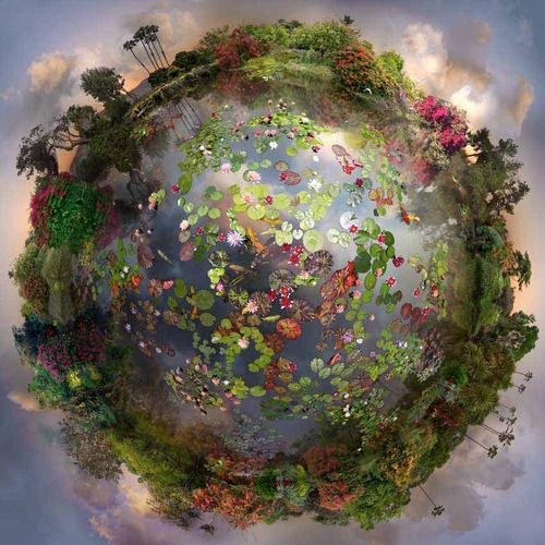 ZenComa - Social Nation