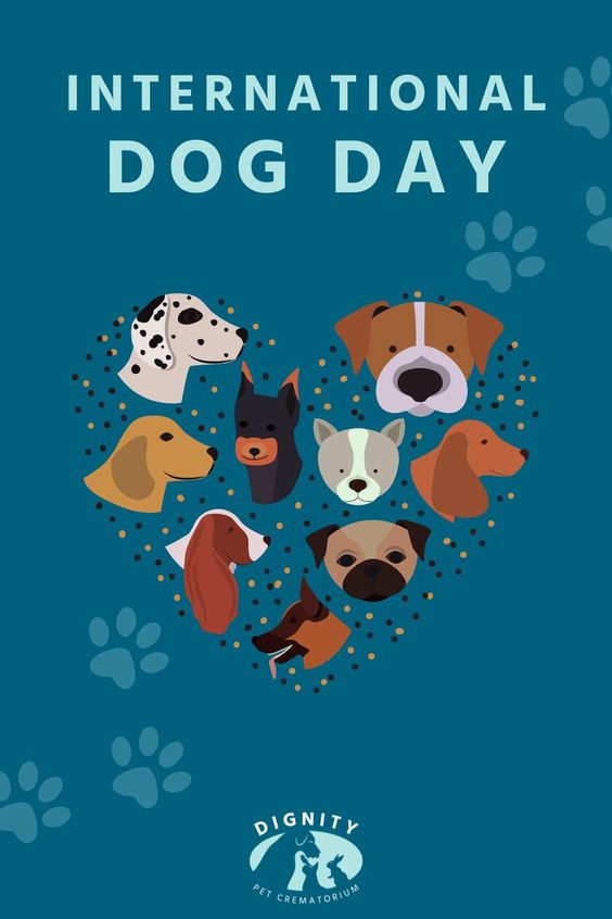 06d6ac9cb449f9318fa626ab11b93ce6 - Social Nation International Dog Day - Paw-sitivity