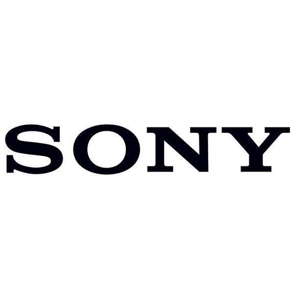 Sony Zee merger