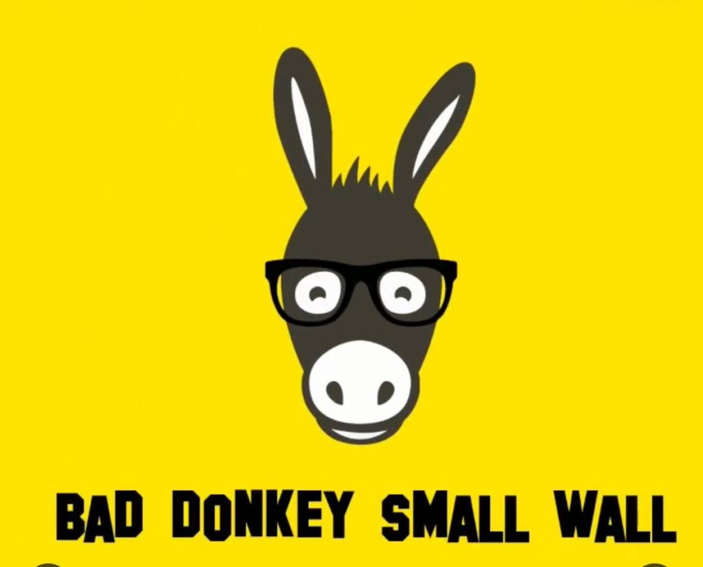 Bad Donkey Small Wall in Collab with The Script room for Reels room