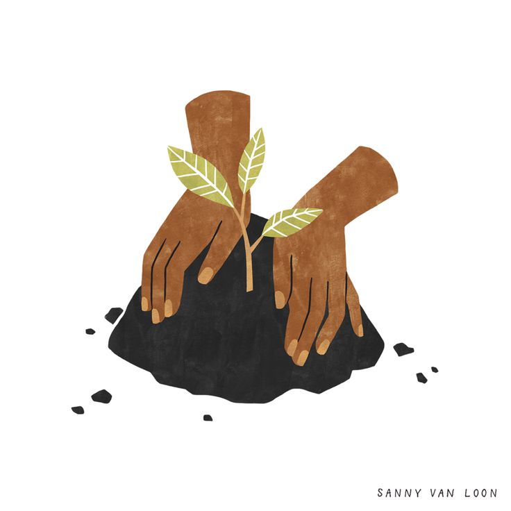 Illustration-by-Sanny-van-Loon - Social Nation Fukra Insaan plants a tree in YouTube video as CM