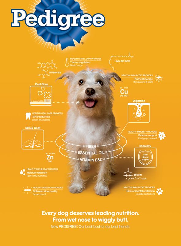 Pedigree-Wiggly-Butt - Social Nation Varun Dhawan for Pedigree India