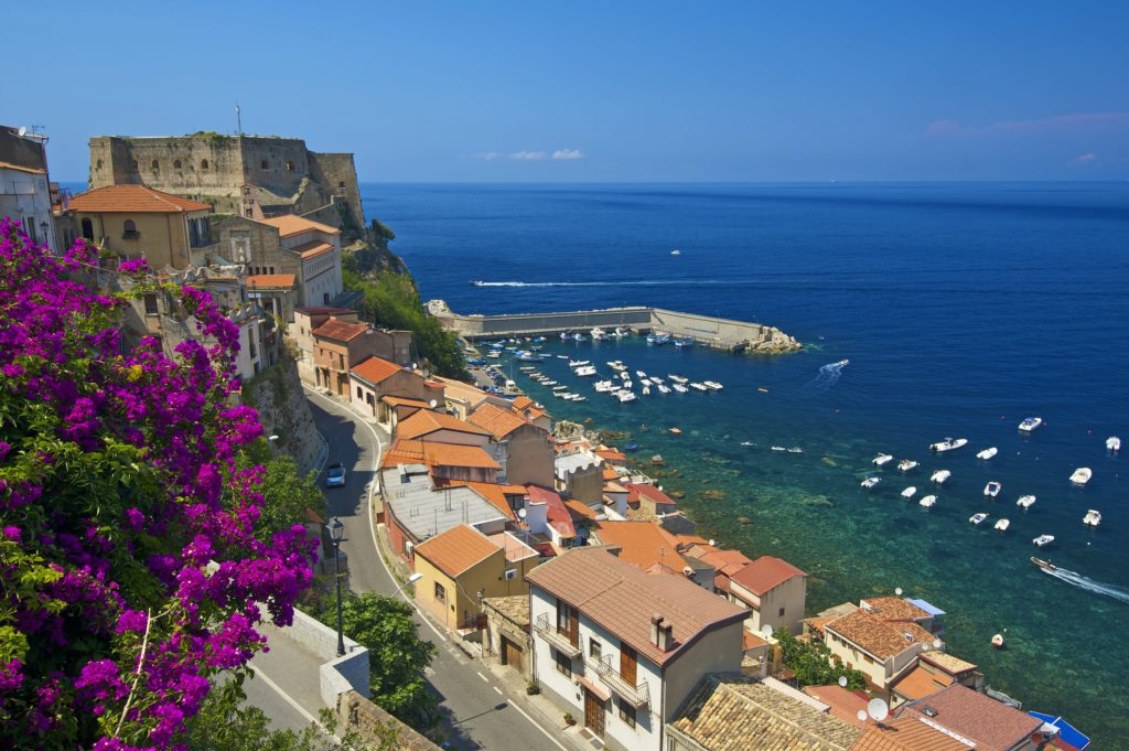 503844741_full - Social Nation italy calabria small business