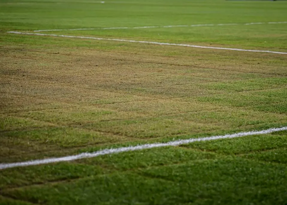 argentina qualifiers match venue taylor swift bad pitch conditions