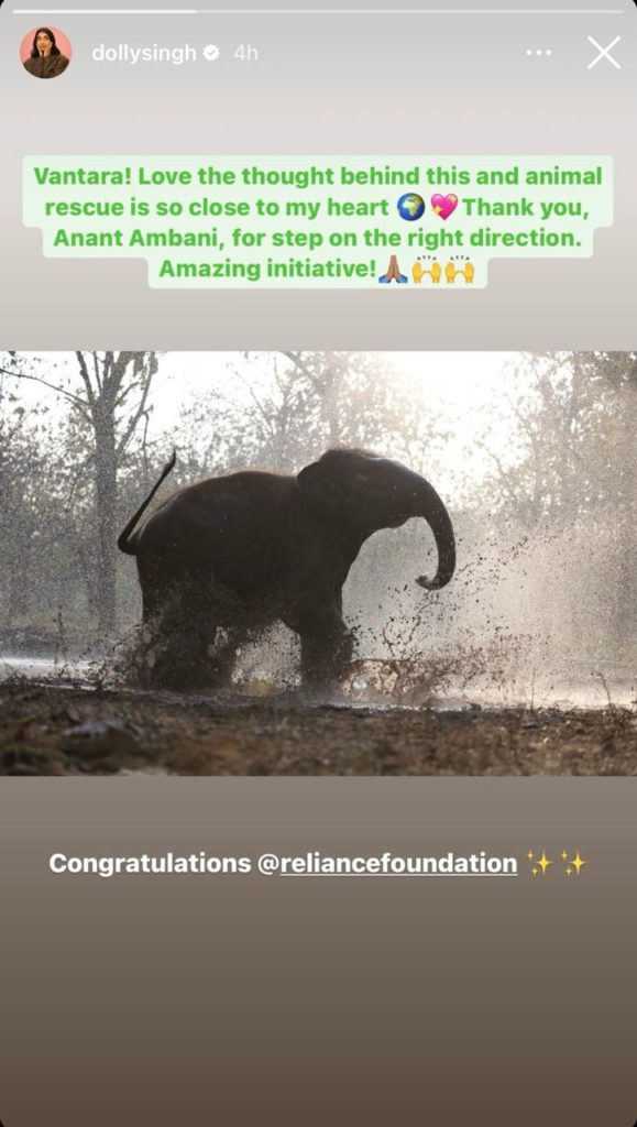 WhatsApp-Image-2024-02-29-at-12.47.28-PM-1 - Social Nation Anant Ambani Vantara animal welfare initiative reliance foundation dolly singh