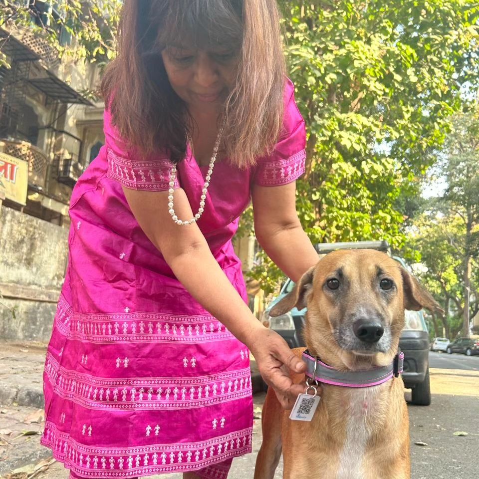 428172418_904717574772755_2461374447410315648_n - Social Nation Pawfriend.in brings Aadhaar Cards for Stray Dogs