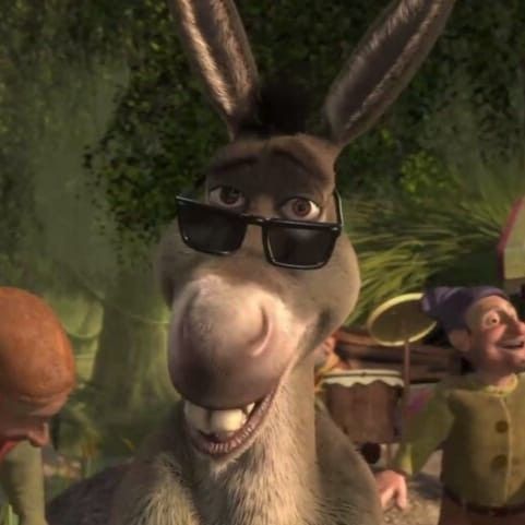 5 important lessons Shrek 2 taught us