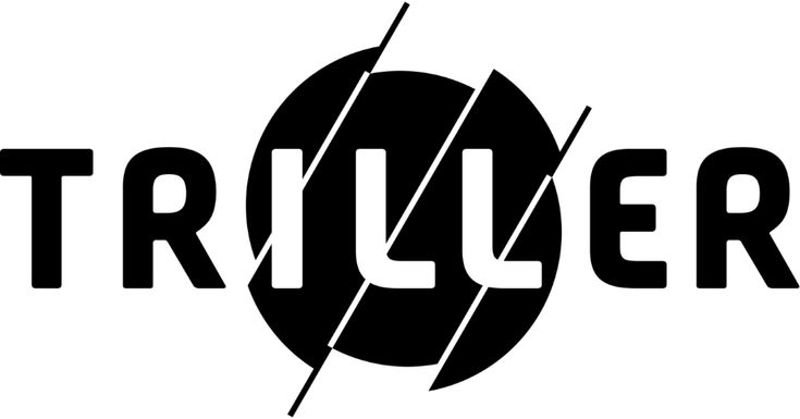 Triller is a great alternative to overcome the effects of TikTok ban