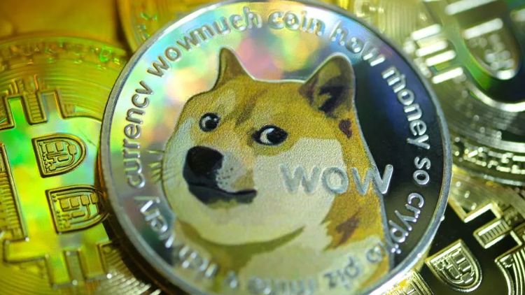 da4c7d90-19ac-11ef-af66-edd17488ddd3 - Social Nation Doge meme japanese dog Kabosu shiba inu passes away viral Dogecoin crytptocurrency