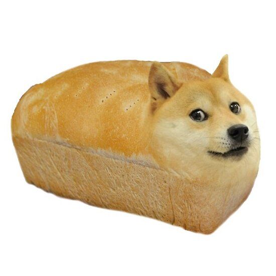 flat-550x550-075-f.u1 - Social Nation Doge meme japanese dog Kabosu shiba inu passes away viral Dogecoin crytptocurrency loaf of doge