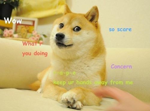 image - Social Nation Doge meme japanese dog Kabosu shiba inu passes away viral Dogecoin crytptocurrency