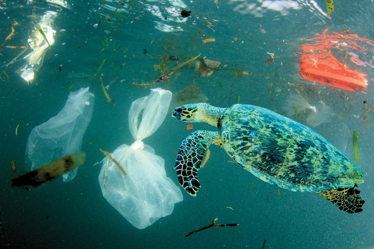 plastic_01 - Social Nation plastic pollution coca-cola pepsi nestle top brands companies single use waste damage marine life