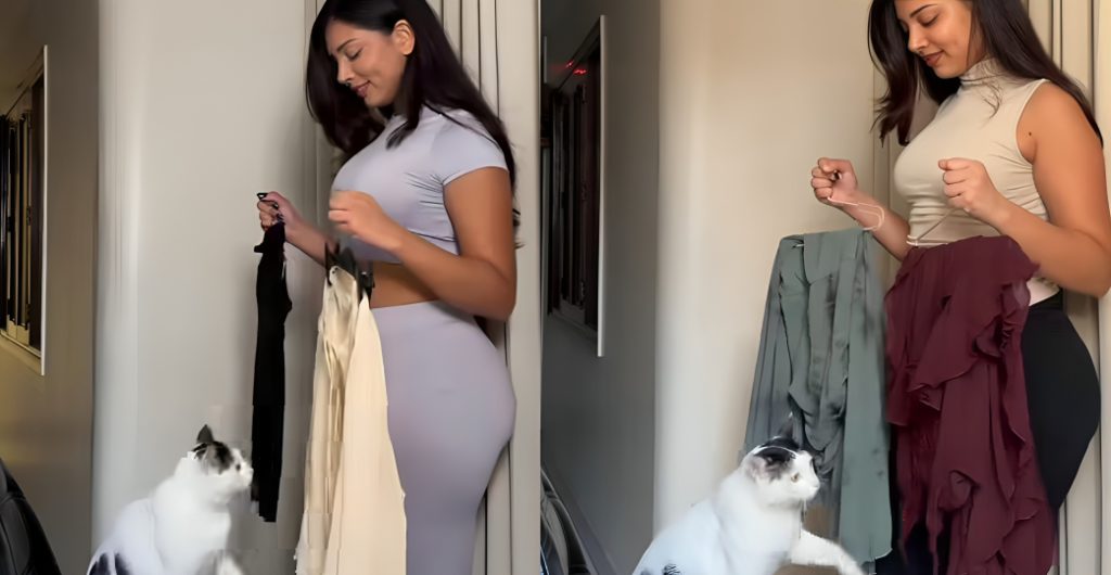 Vanshita Verma Shows Us What Happens When A Cat Starts Curating Fashion Looks Online, And We Love It!